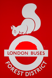 forest logo