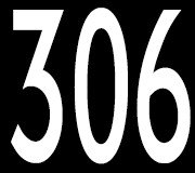 306