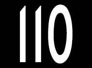 110