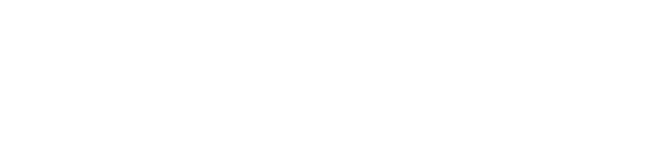 295A